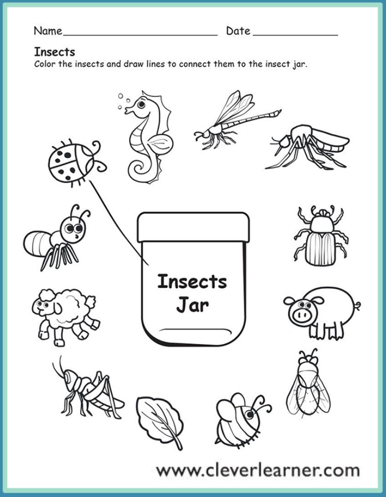 Free Printable Kindergarten Science Worksheets Kindergarten Worksheets