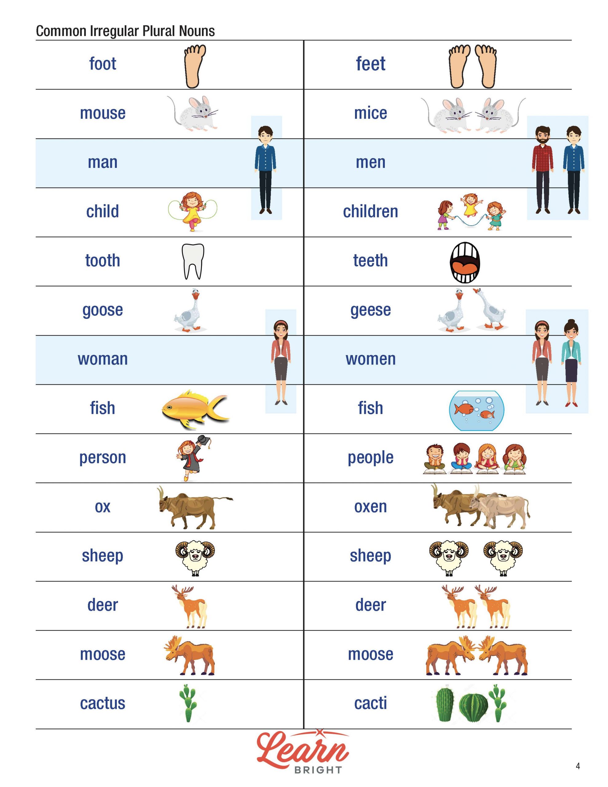 Free Printable List Of Irregular Plural Nouns Printable Form