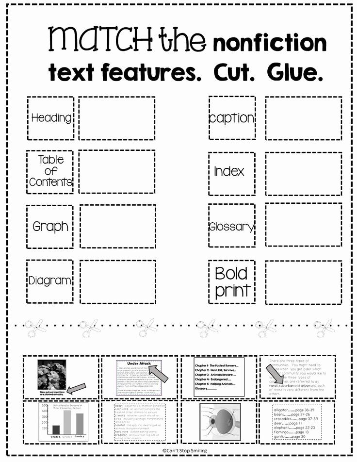 Free Printable Nonfiction Text Features Worksheets