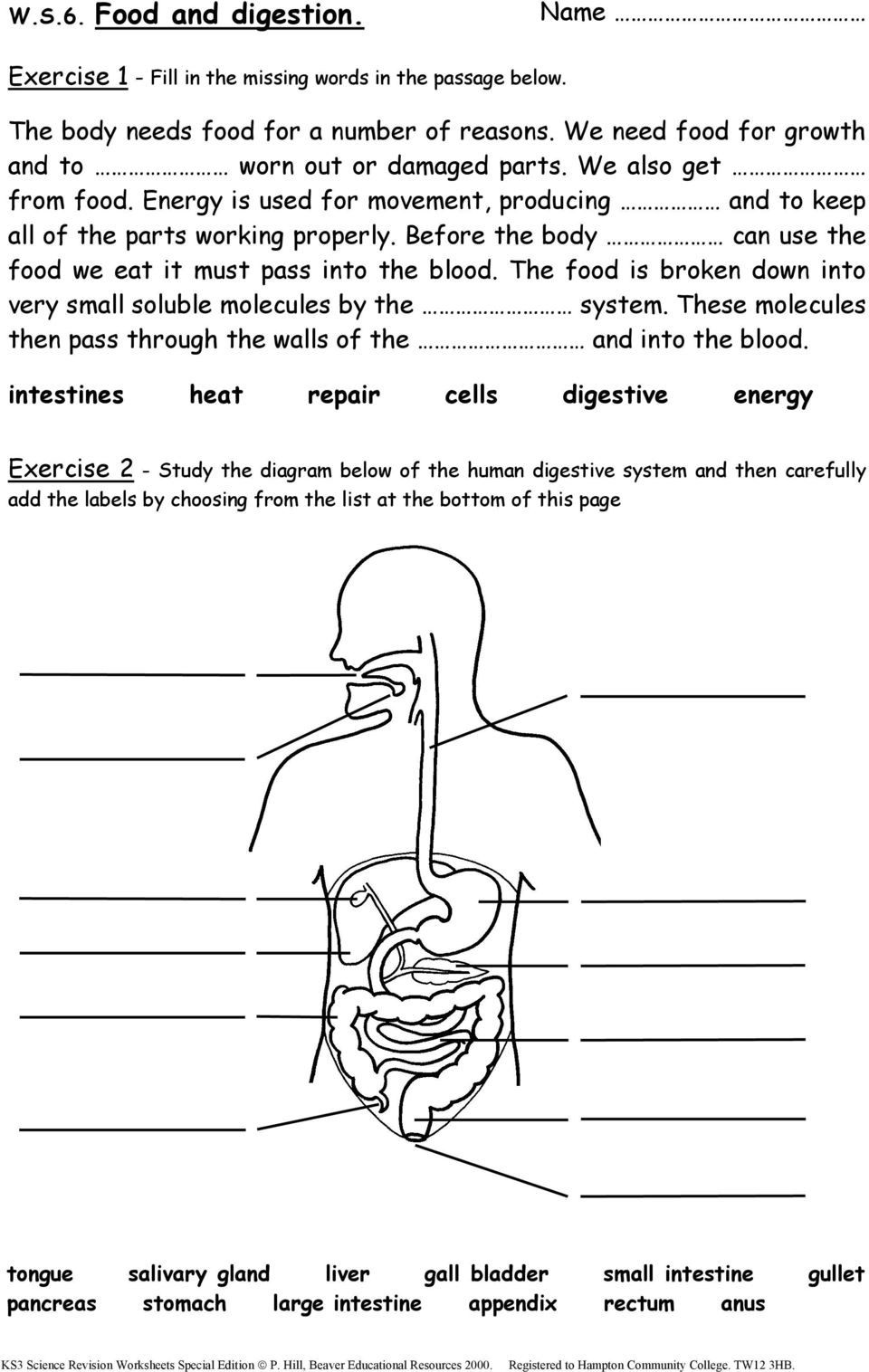 Free Printable Science Worksheets Pdf Ks3 Science Revision Worksheets