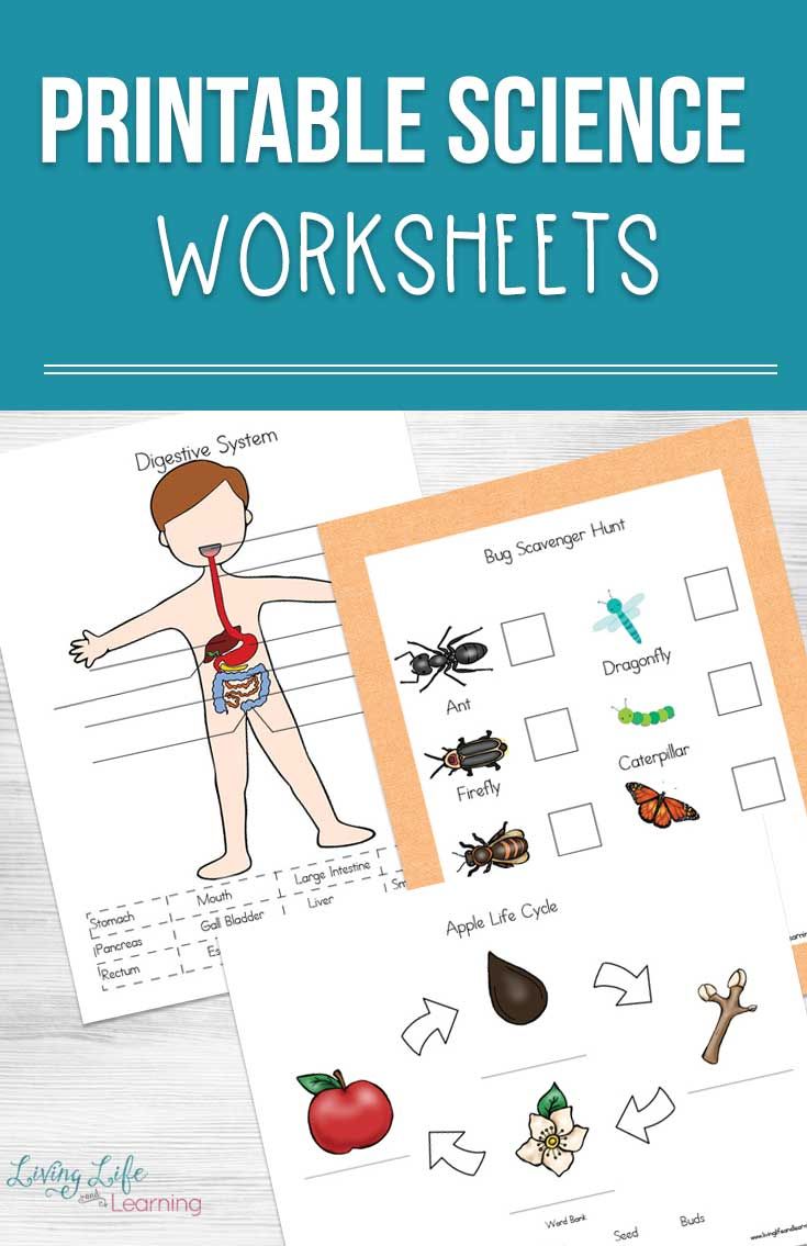 Free Printable Science Worksheets Word Lists And Activities