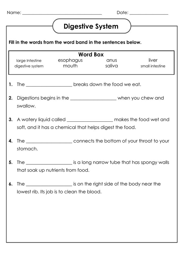 Free Science Worksheets for 4th Graders: Easy Learning