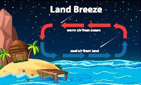 Free Vector Diagram Showing Circulation Of Land Breeze