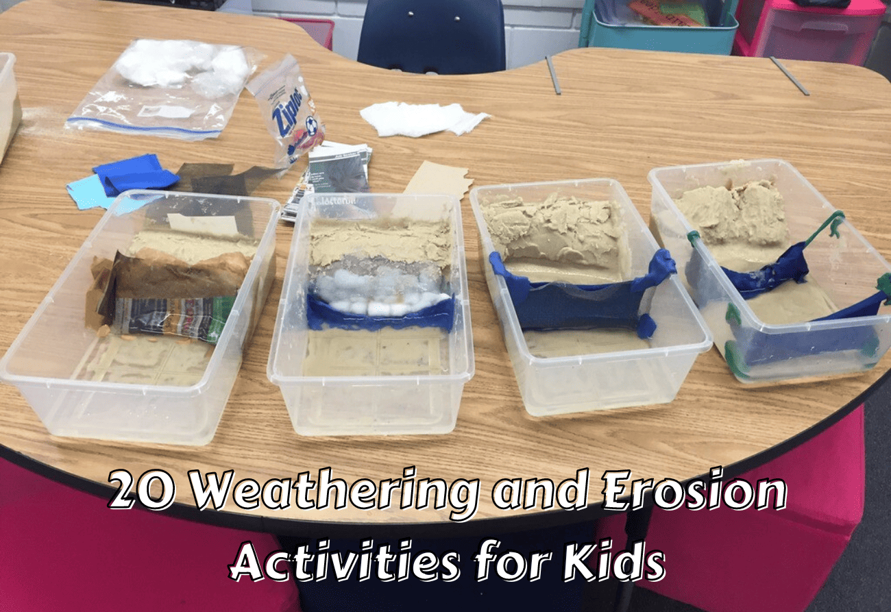 Free Weathering Erosion And Deposition Sorting Activity From Laura