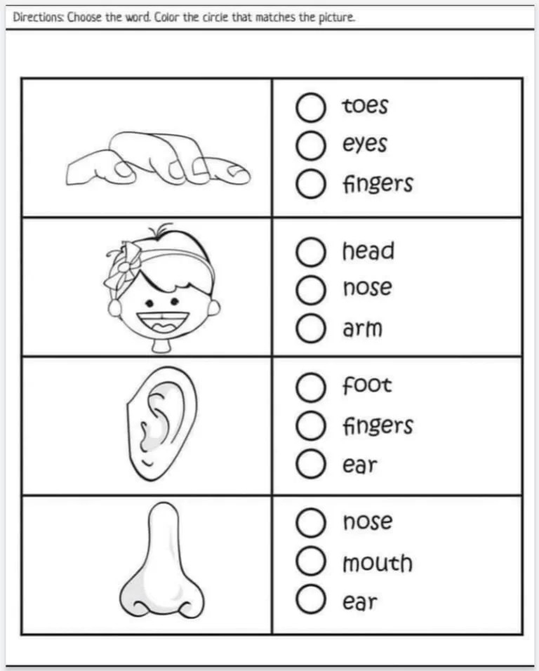 Free Worksheets For Kindergarten English