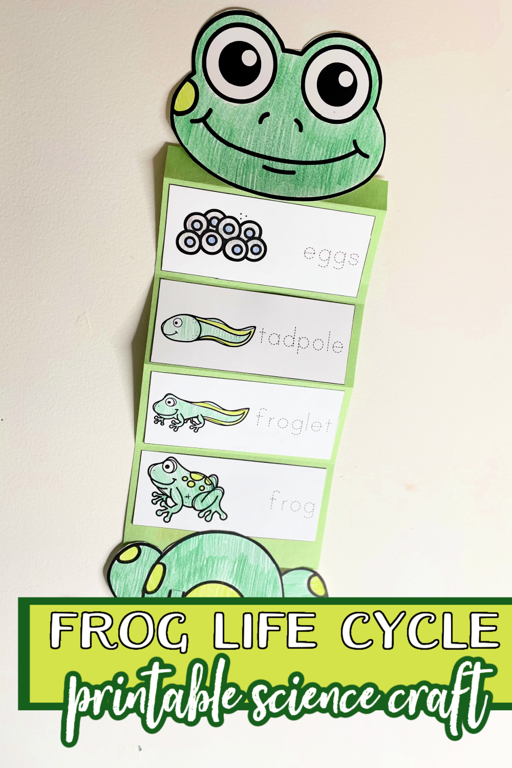 Frog Life Cycle Printable Craft