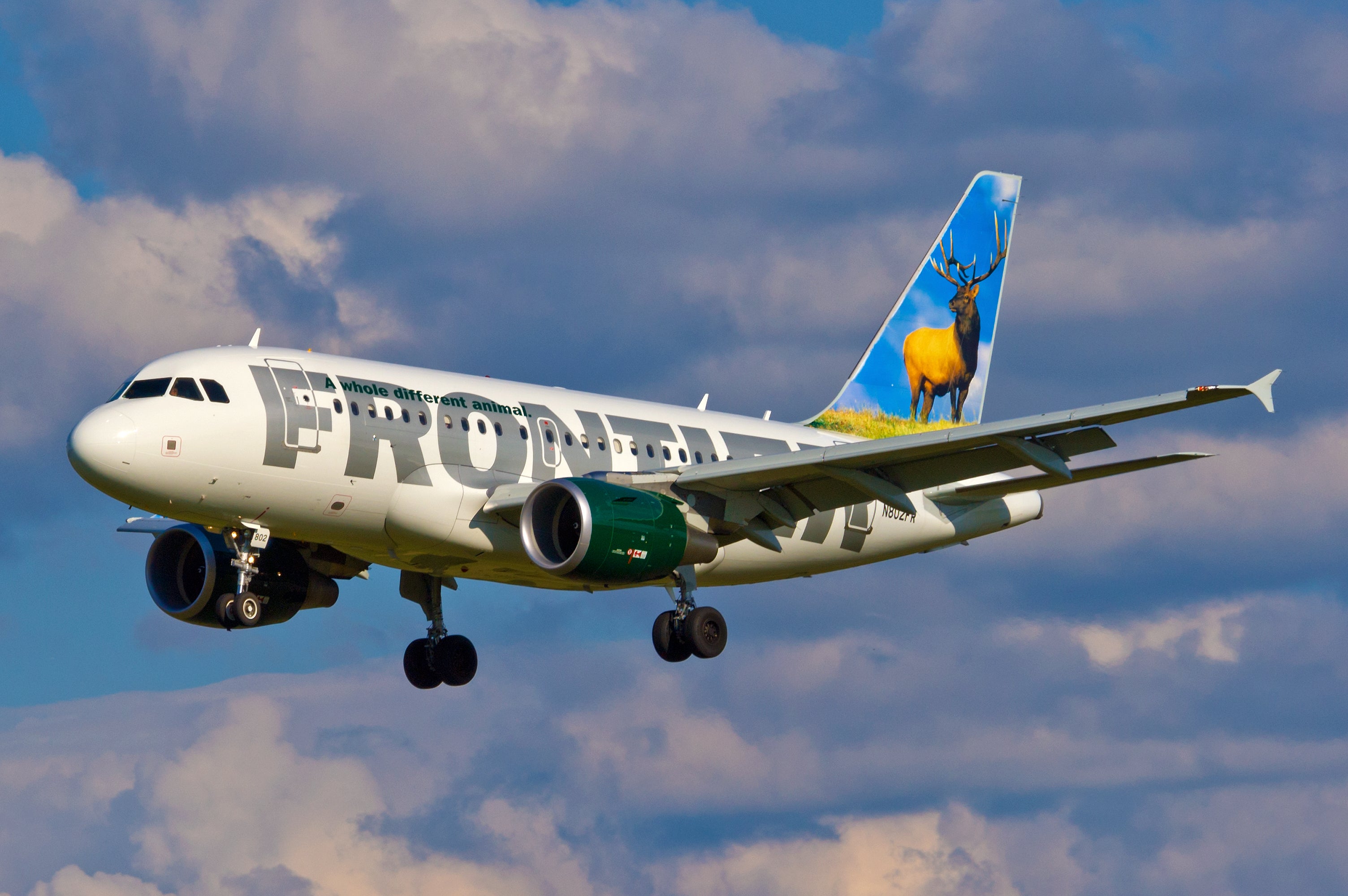 Frontier Airlines Promo Code September 2024 Nike Marisa