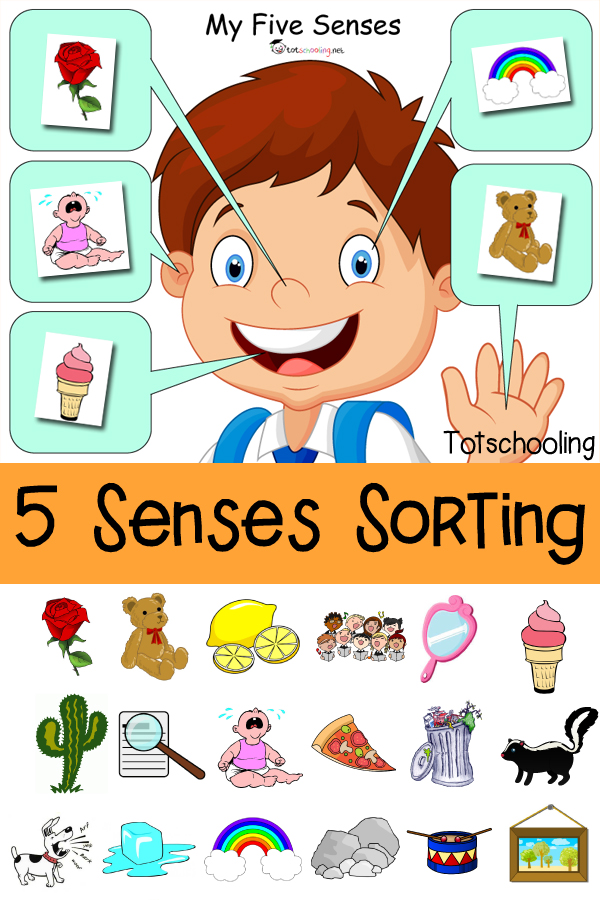 Fun 5 Senses Activities For Preschool Little Bins For Little Hands