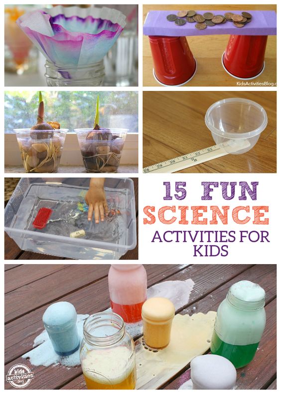 Fun Science Activities For 4Th Graders