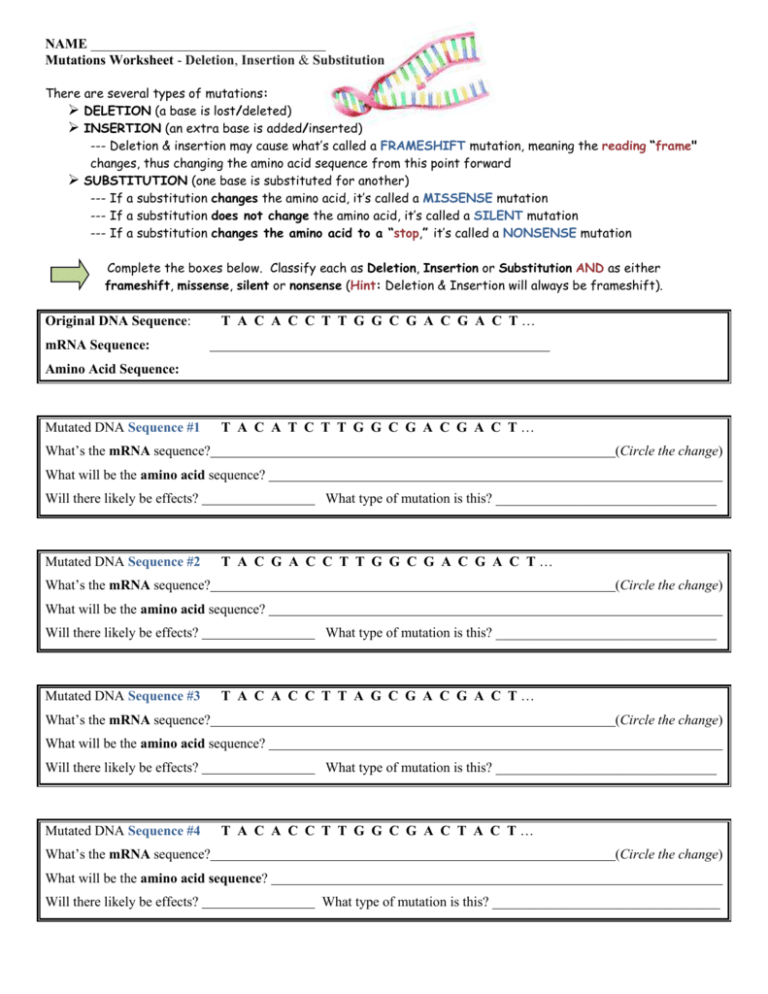 Gene Mutations Worksheets