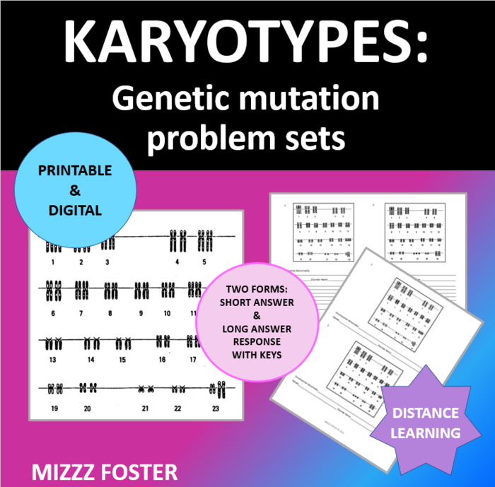 Genetic Disorders Mutations Karyotype Problem Sets Worksheets