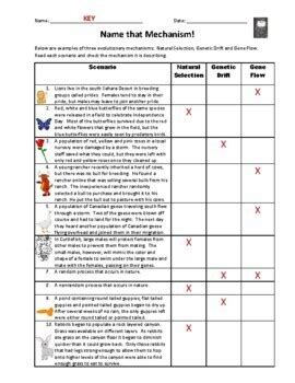 Genetic Drift Gene Flow Natural Selection Scenarios By The Biology Bar