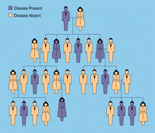 Genetic Heredity Practice Test Pdf