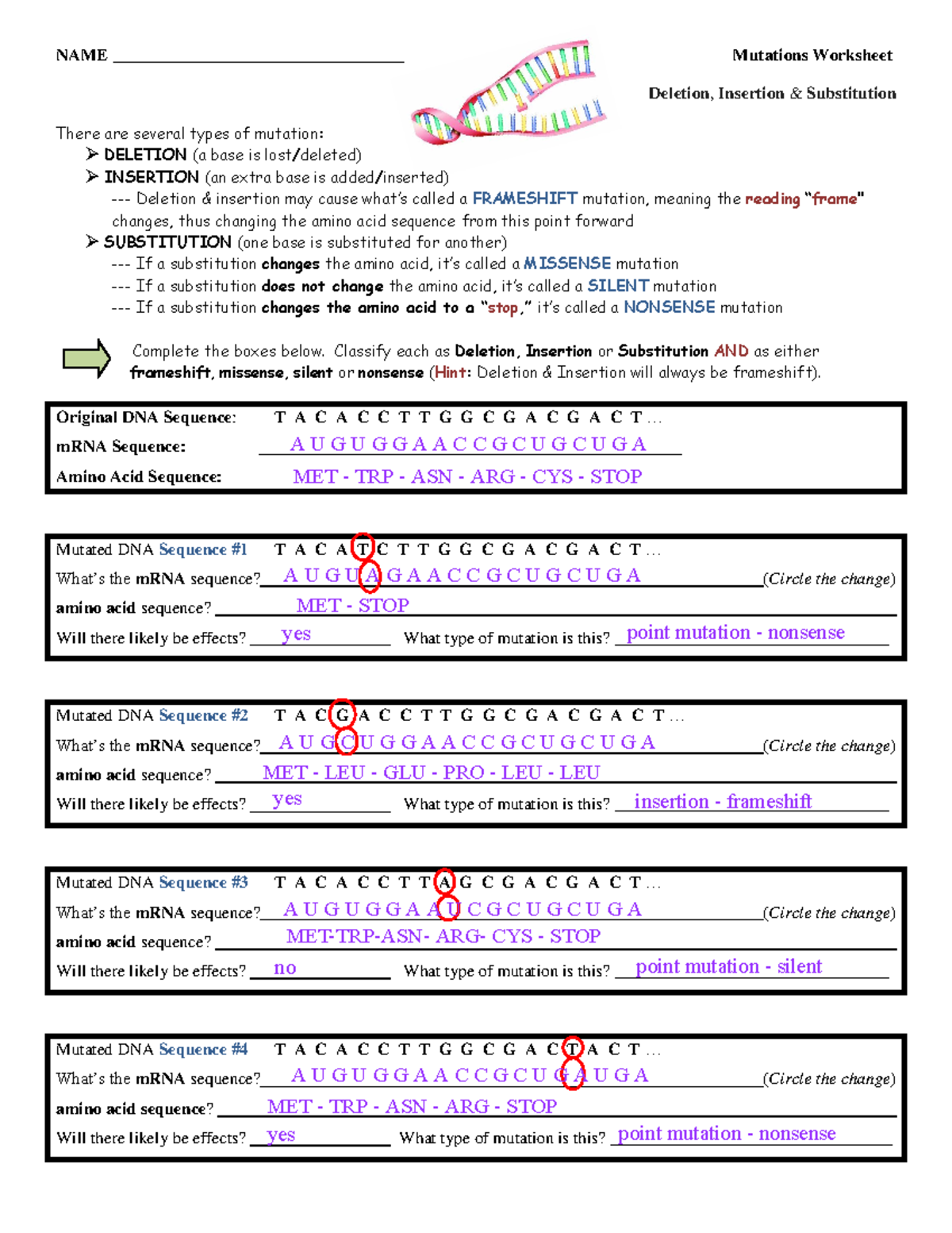 Genetic Mutation Worksheet Answer Key 12 5 Mutations Microbiology