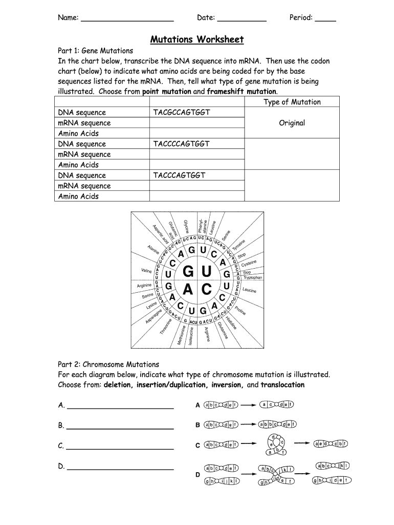 Genetic Mutation Worksheet Answer Key E Streetlight Com