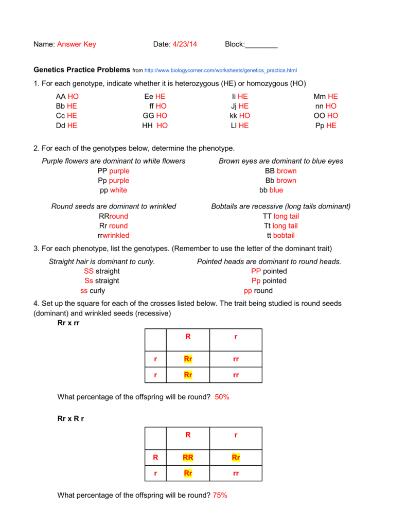 Genetics Basics Worksheets Answer Key