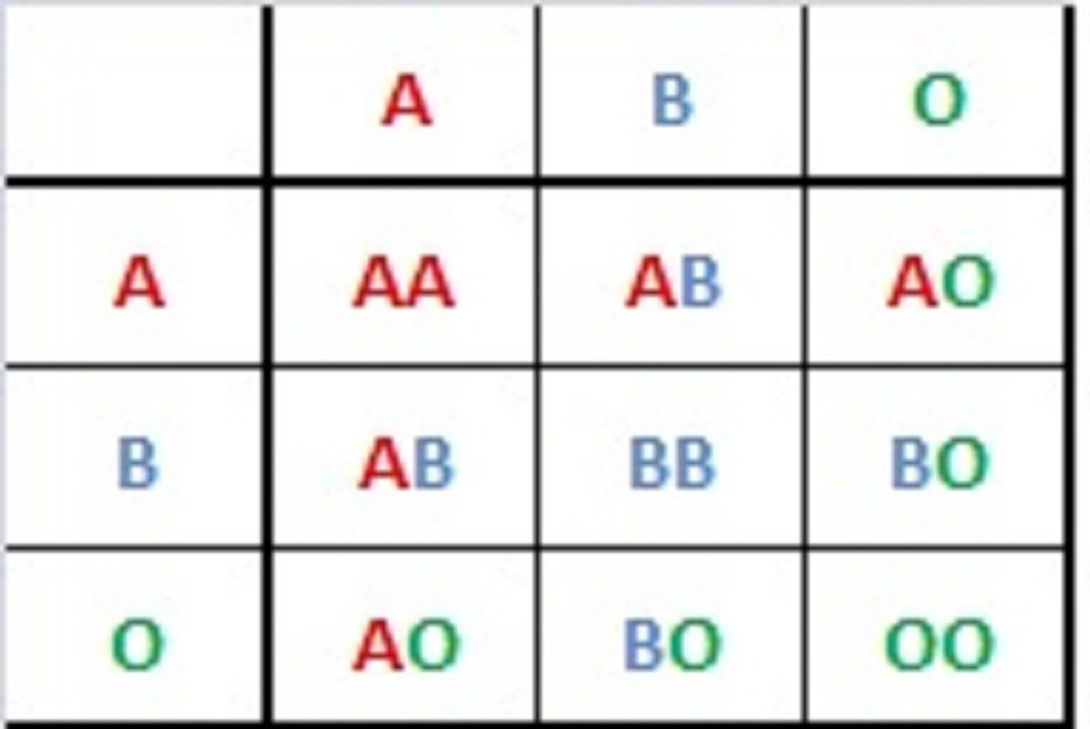 Genetics Blood Types Worksheets