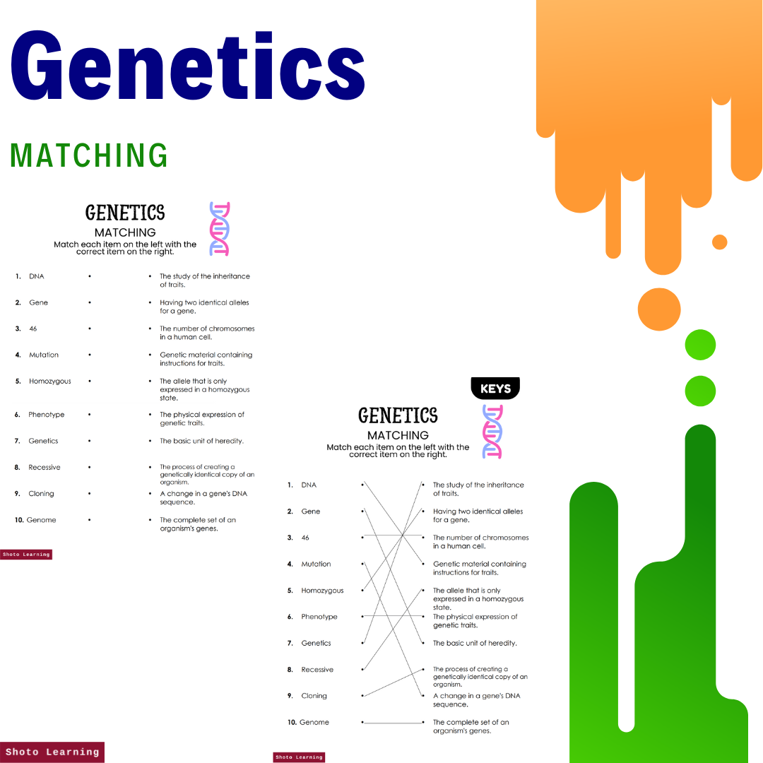 Genetics Match Master Dive Into Dna With Our Engaging Matching Worksheet