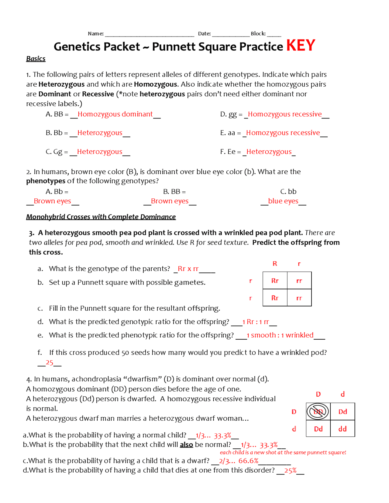 Genetics Monohybrid Punnett Square Practice Packet 24 Problems