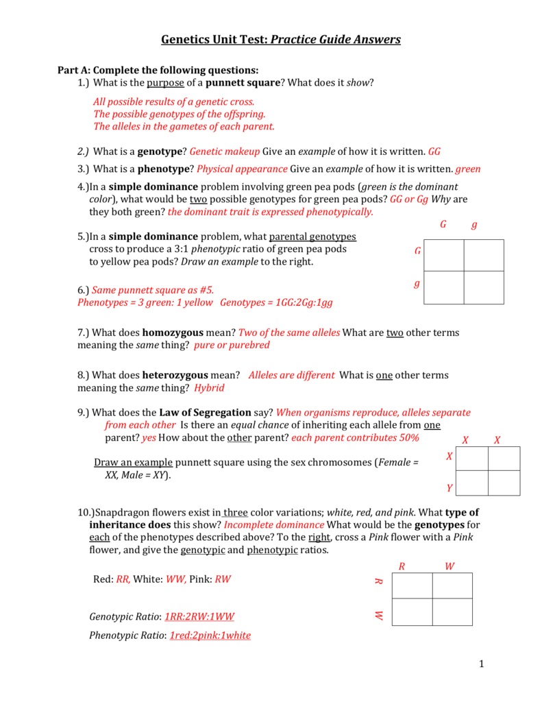 Genetics Multiple Alleles Worksheet By Biology Roots Tpt