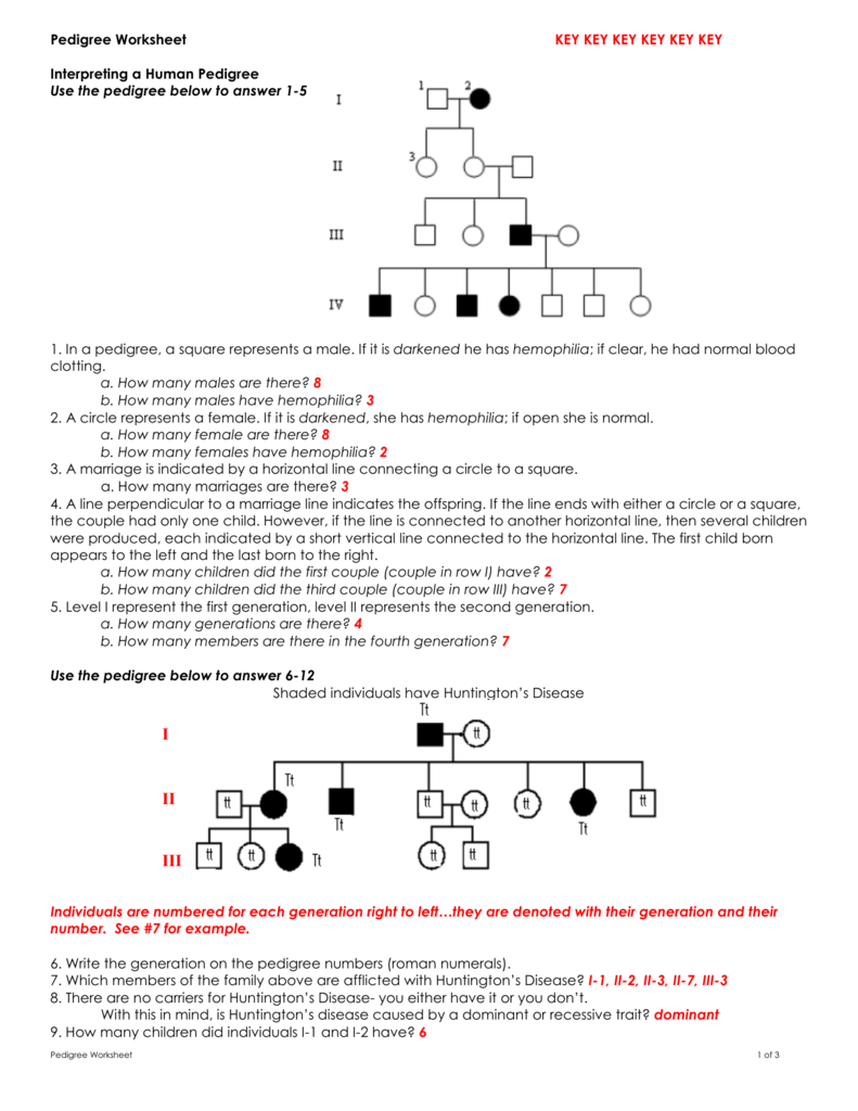 Genetics Pedigree Worksheet Answers Abhayjere Com