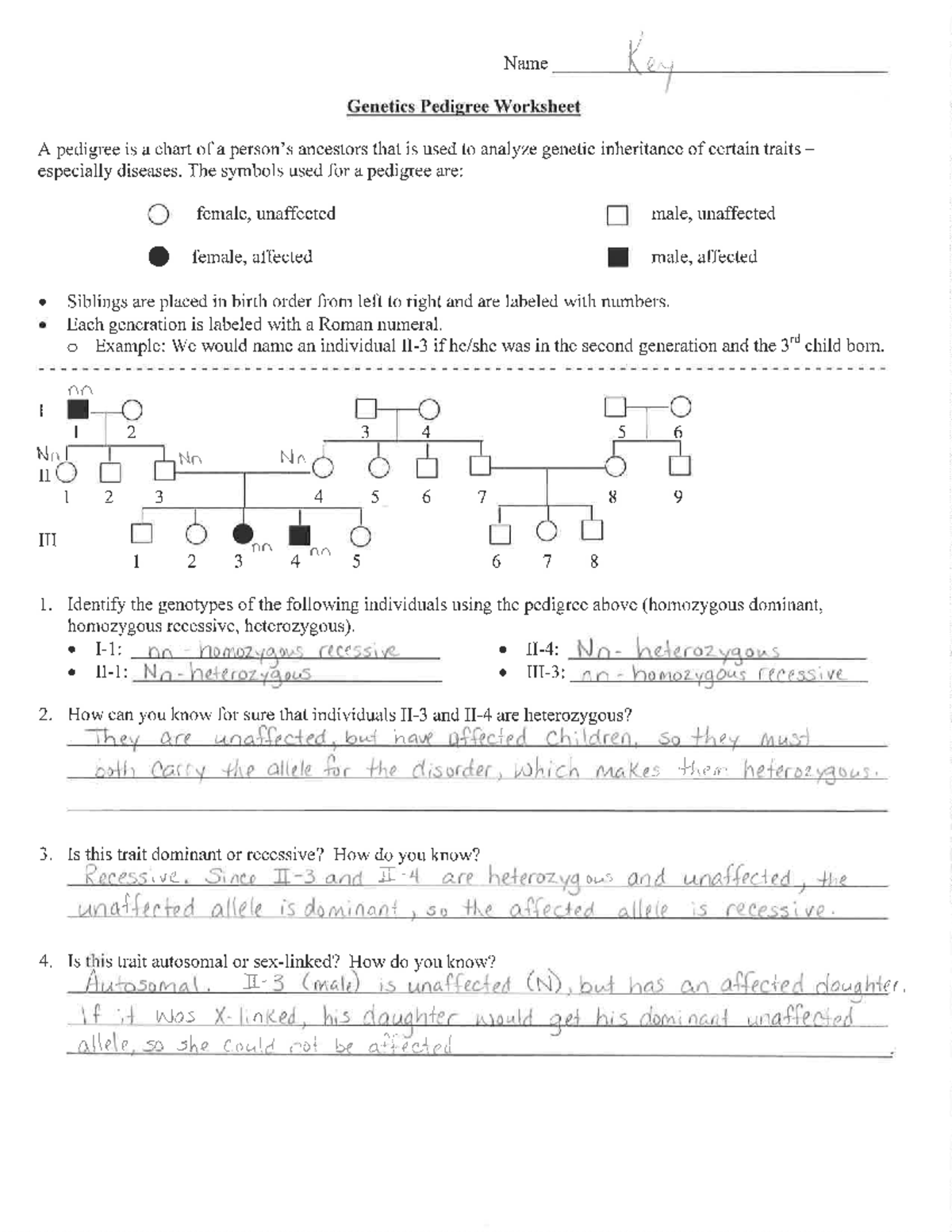 Genetics Pedigree Worksheet Dimples Thekidsworksheet