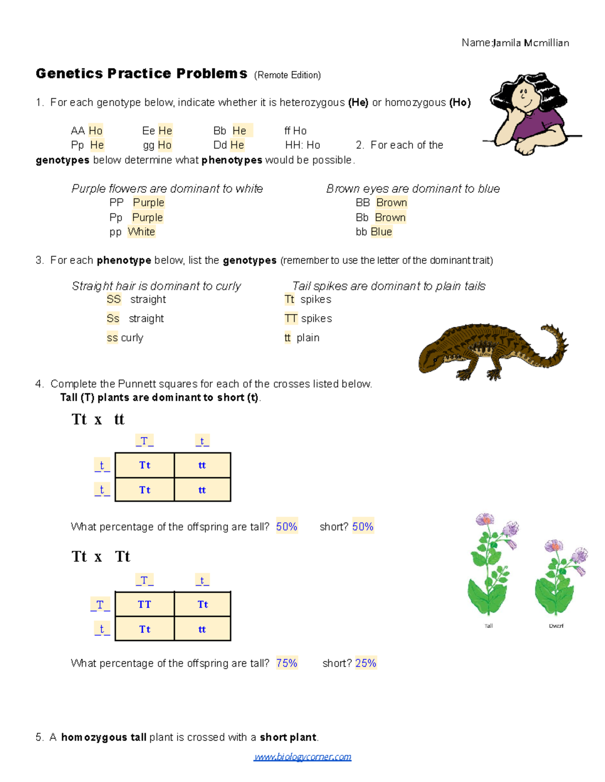 Genetics Practice Problems Worksheet Imsyaf Com