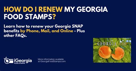 Georgia Food Stamp Delay Update