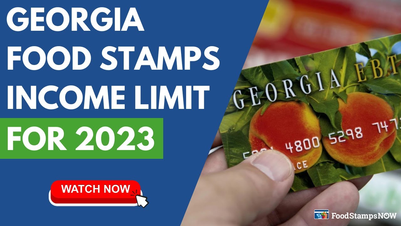 Georgia Food Stamp Income Limits For 2023 Youtube