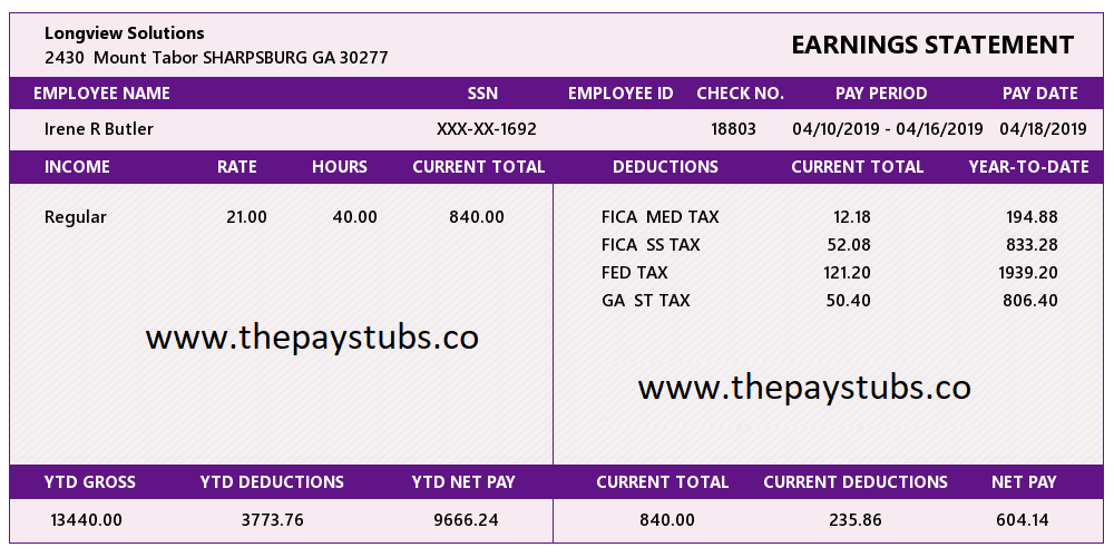 Georgia Sample Pay Stub Thepaystubs