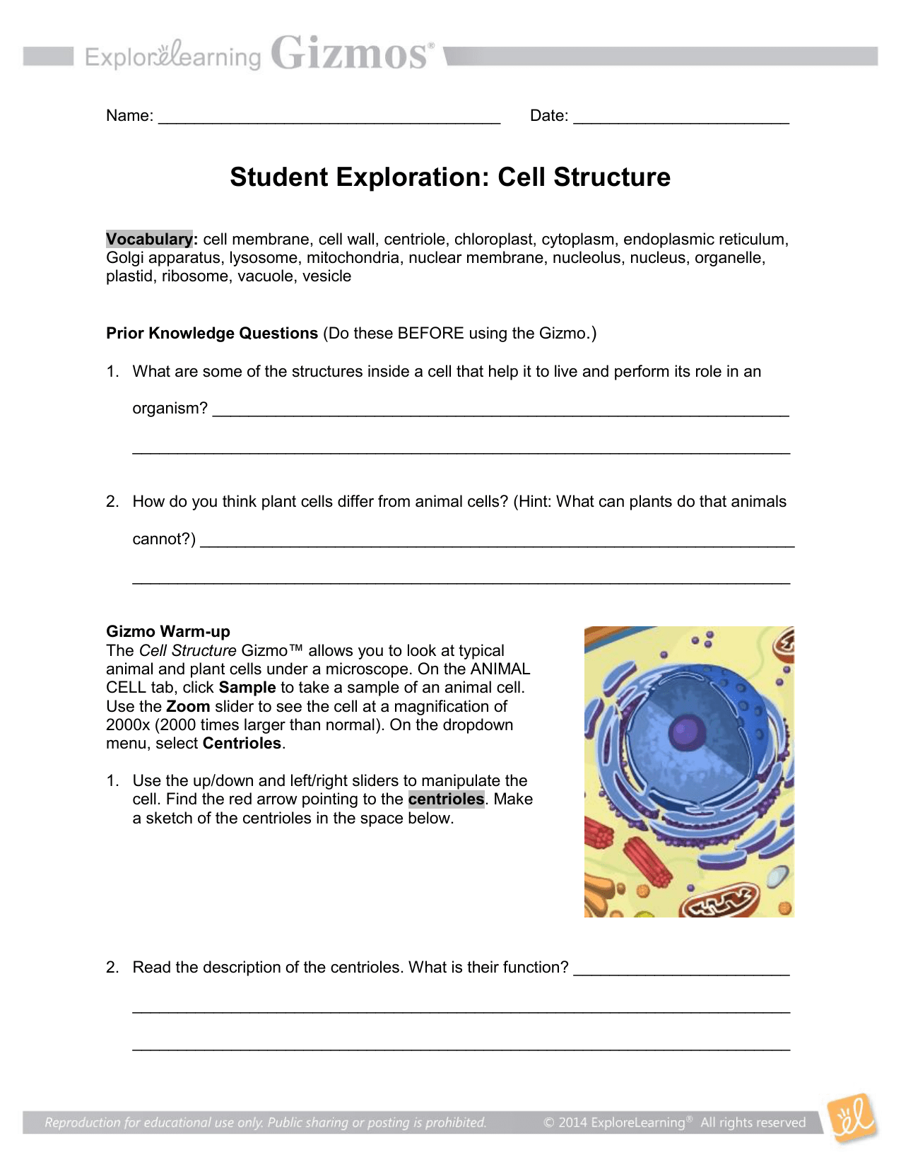 Gizmos Cell Structure Worksheet Answers Updated Answer Key 2022