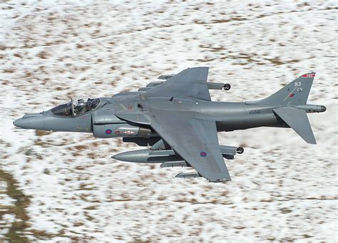 Global War Birds Harrier Jump Jet