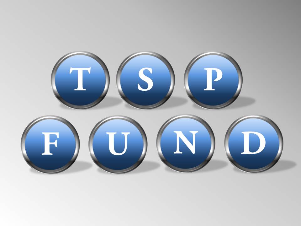 Government Tsp Overview Of The Federal Thrift Savings Plan Funds