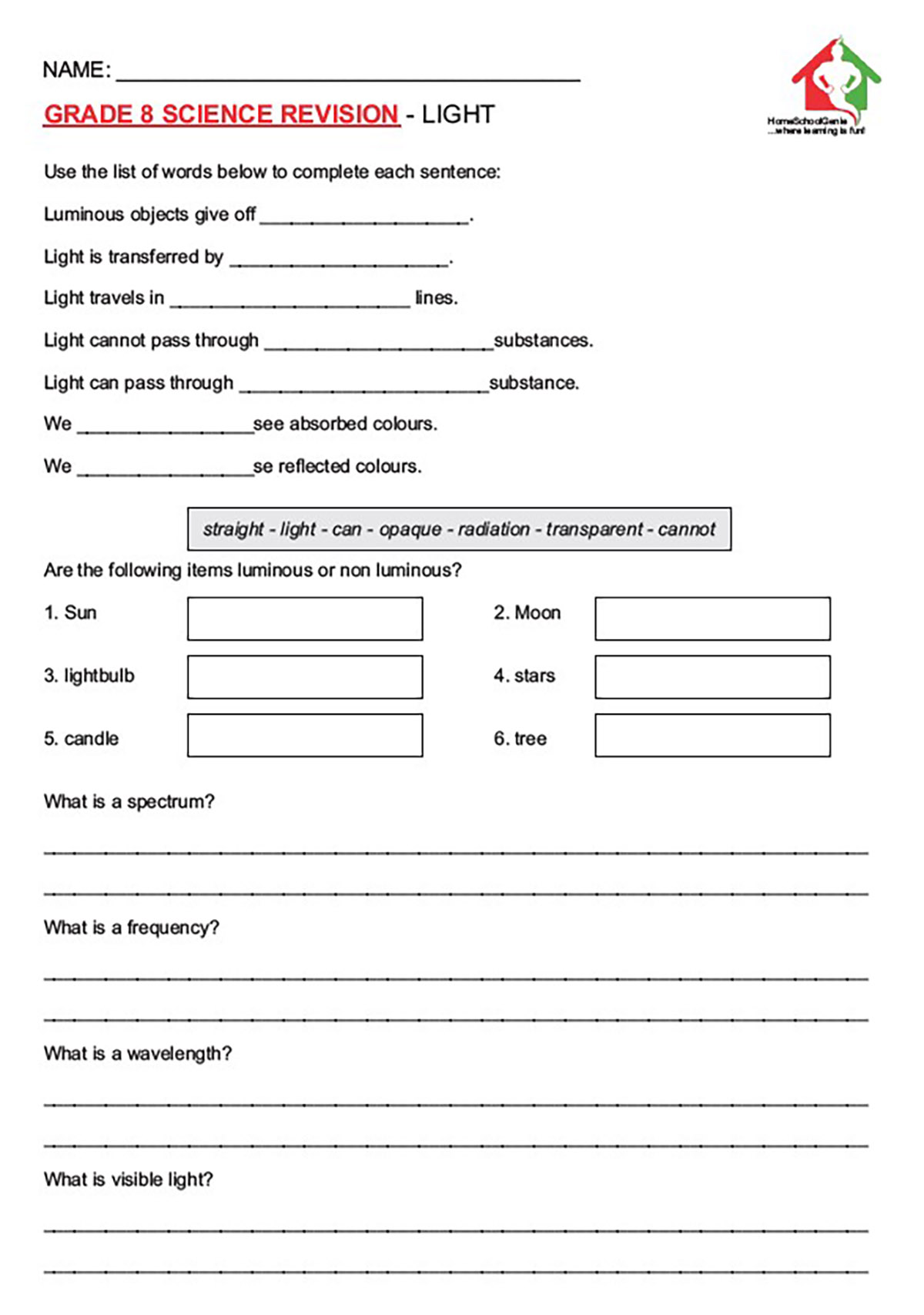 Grade 8 Light Worksheet