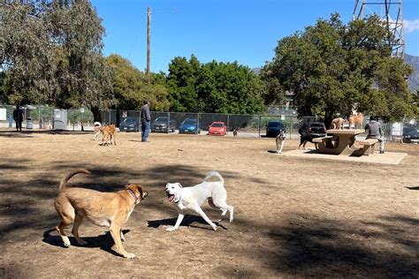 Griffith Park Dog Park N Zoo Dr Los Angeles