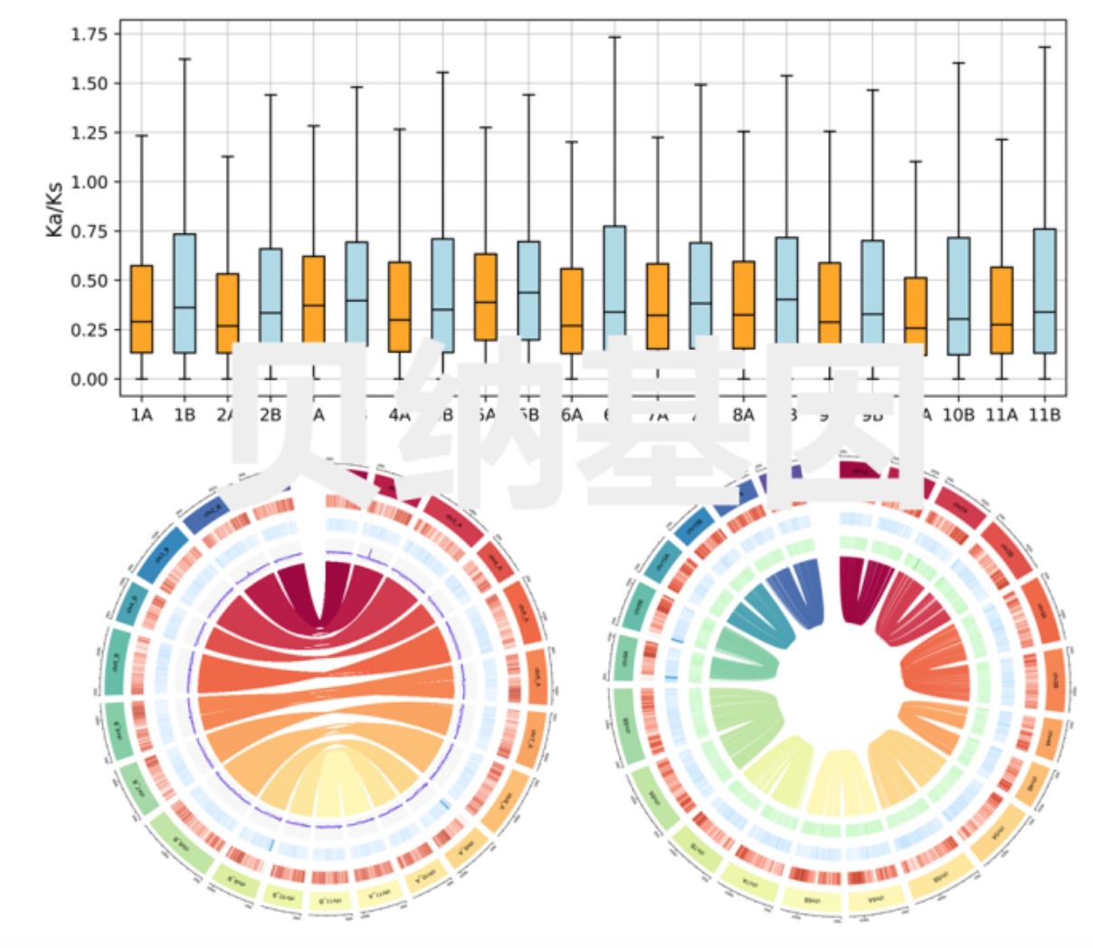 Haplotype Resolved Genome Analyses Of A Heterozygous Diploid Potato Nature Genetics Plantae