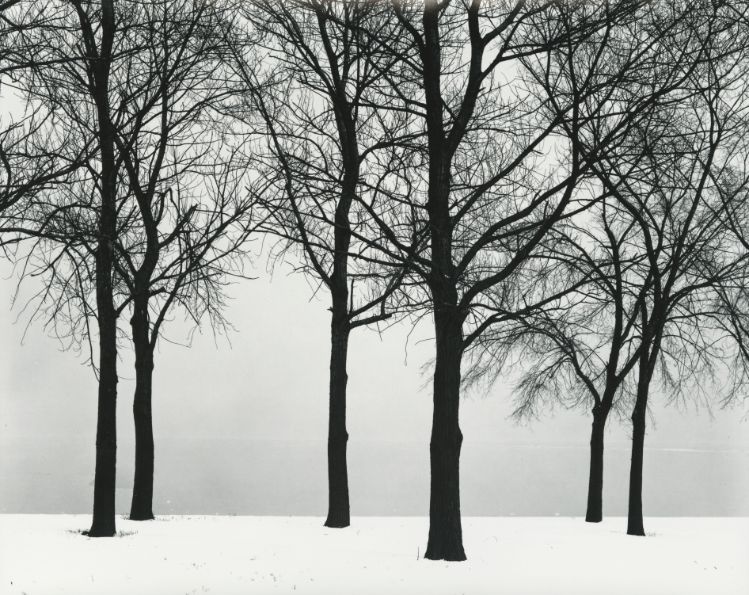 Harry Callahan