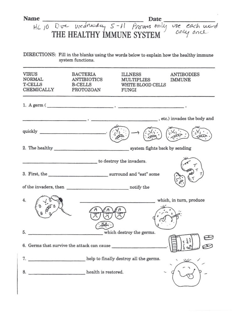 Engaging Health Education Worksheets for Better Living