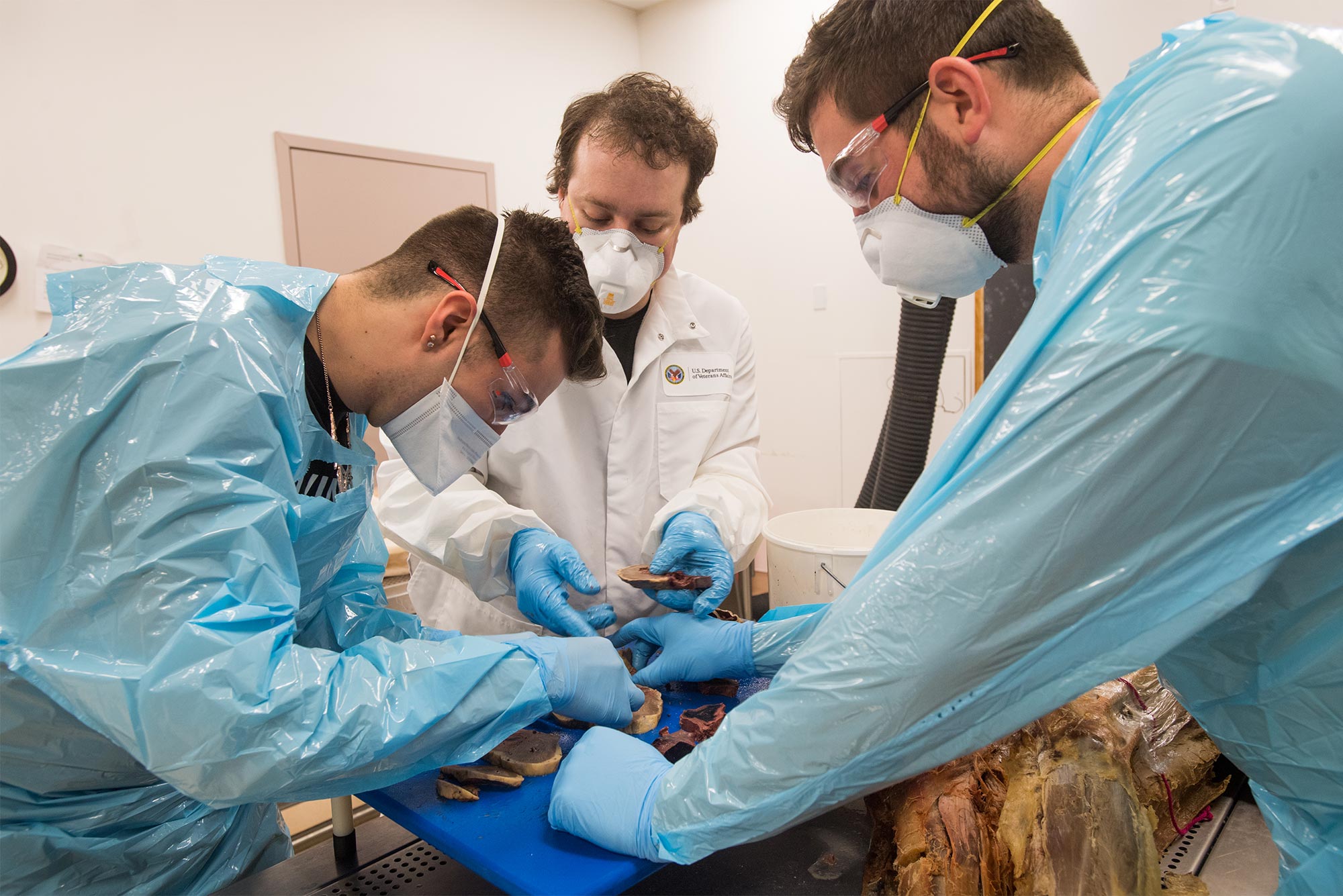 Heart Dissection Lab By Rachel Taylor Teachers Pay Teachers