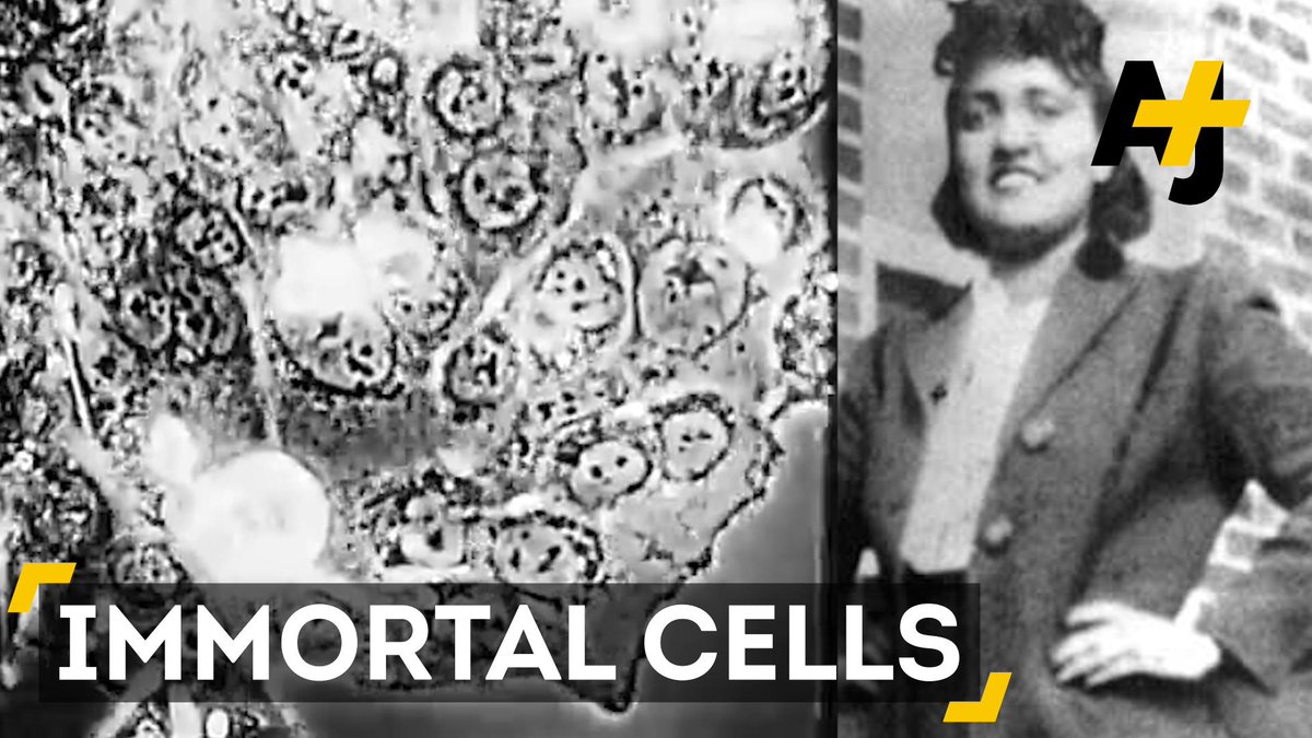 Here Are 5 Astounding Facts About Henrietta Lacks And Her Immortal