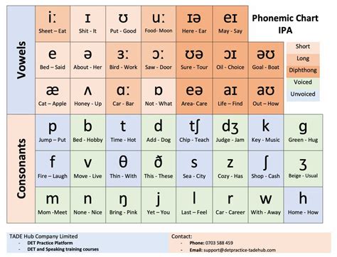 Here Come Some Lovely Phonetic Alphabet Charts For You Ipa Phonetics Phonetics English