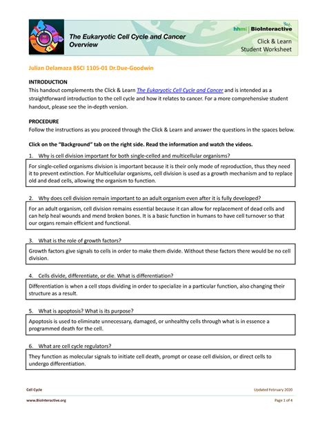 Hhmi Biointeractive Cell Cycle