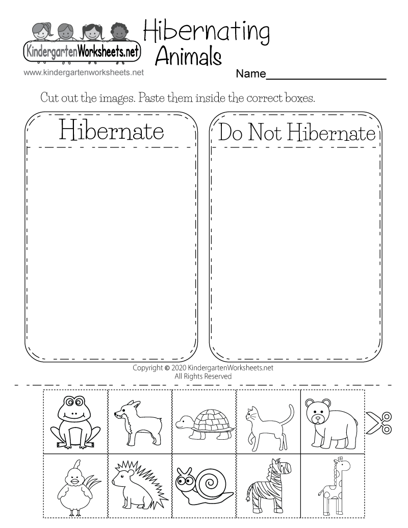 Hibernation Worksheet For Kindergarten