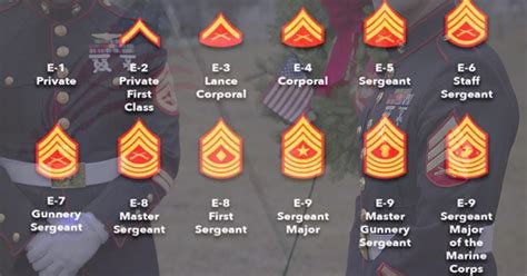 What Is The Highest Enlisted Marine Rank