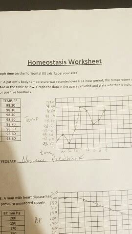 Homeostasis Worksheet Answers and Graph Analysis