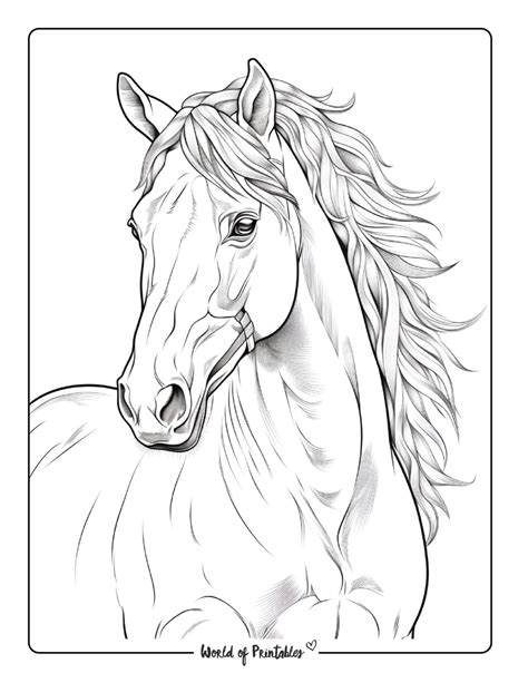 5 Free Horse Coloring Pages