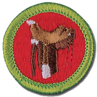 Horsemanship Merit Badge Answers And Free Resources