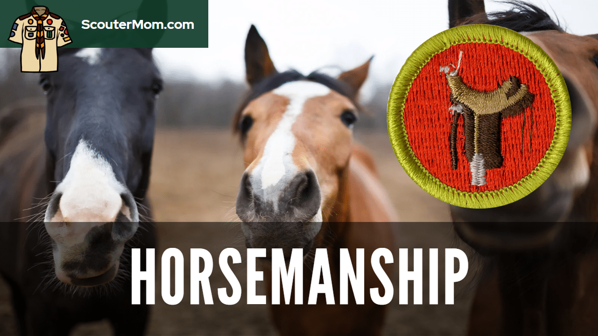 Horsemanship Merit Badge Series Boy Scouts Of America Amazon Com Books