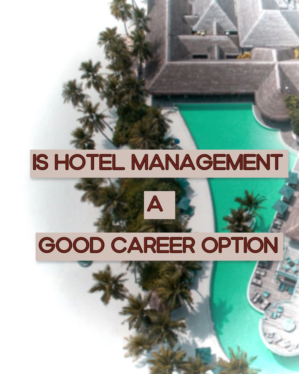 Hotel Management 7 Reasons Hotel Management Is A Good Career Escoffier