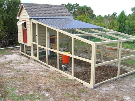 How Big Should A Chicken Run Be For 10 Chickens At Sally Blake Blog